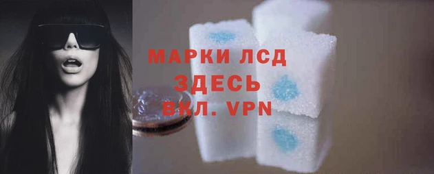 ECSTASY Абаза