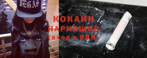 амф Анива